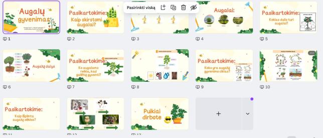Pateiktis Augalų gyvenimas
