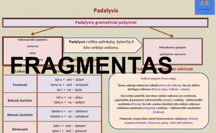 VEIKSMAŽODŽIO NEASMENUOJAMOSIOS FORMOS