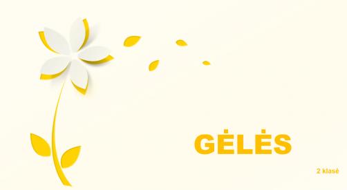 Gėlės