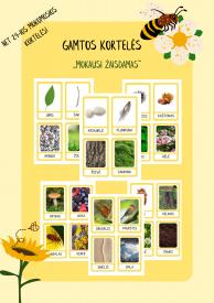 GAMTOS KORTELĖS. MOKAUSI ŽAISDAMAS