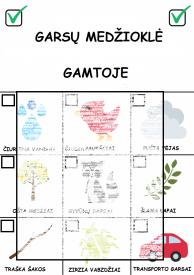 Garsų medžioklė gamtoje