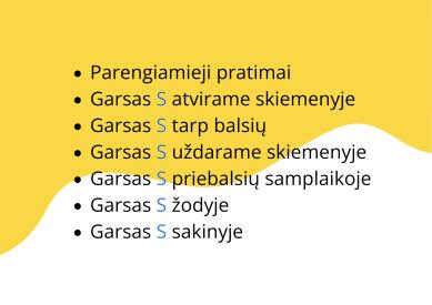 Garso S tarimo mokymas