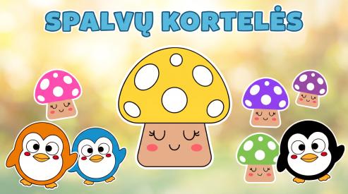 Spalvų kortelės