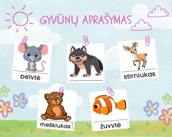 Kortelės - Gyvūnų aprašymas