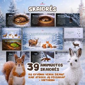 Skaidrės apie gyvūnus žiemą