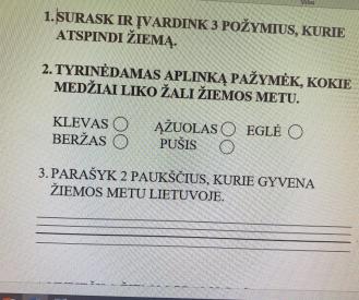 Tyrinėjimo užduotys