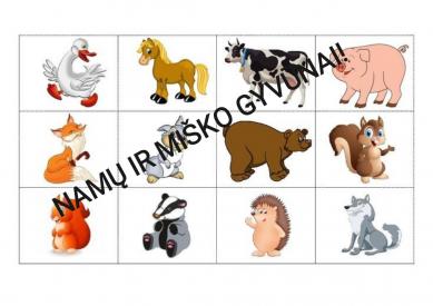 Namų ir miško gyvūnai
