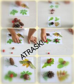 Atrask gamtoje