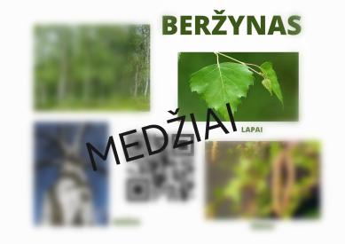 Medžiai 