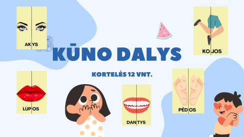 Kūno dalys 12 kortelių