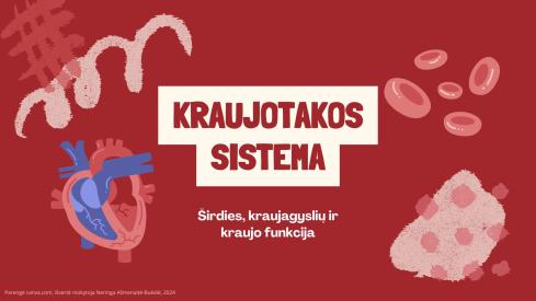 Kokybiškos ir vaizdžios skaidrės apie kraujotakos sistemą 