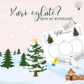 Kuri eglutė- gyva ar dirbtinė