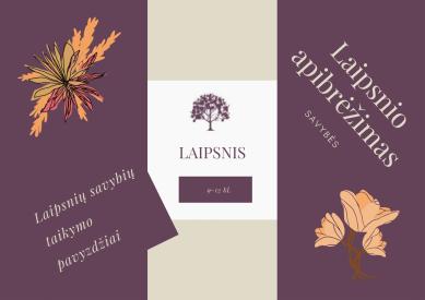 Laipsnis. Savybės. Pavyzdžiai.