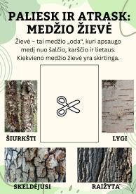 Pažinkime Žemę per tyrinėjimą
