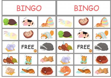 Miegančių gyvūnų BINGO