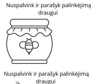Bitutės, medus
