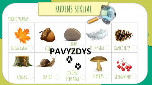 Rudens sekliai