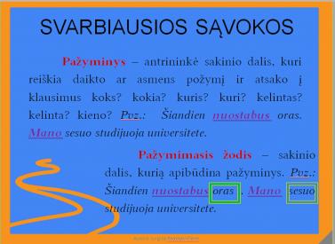 PAŽYMINIAI IR JŲ SKYRYBA