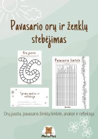 Pavasario orų ir ženklų stebėjimo šablonas