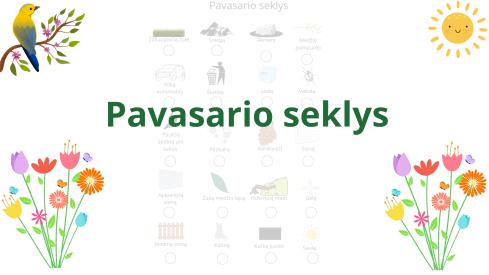 Pavasario seklys 