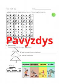 Medžiai. Medžio dalys