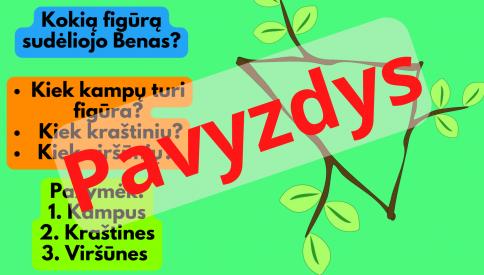Medžiai. Medžio dalys