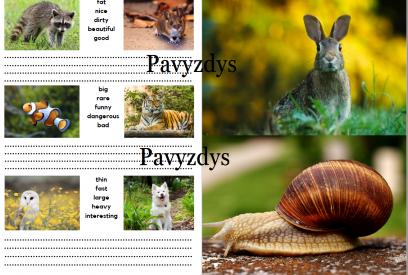 Comparative adjectives 