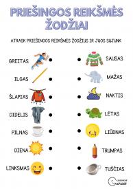Priešingos reikšmės žodžiai
