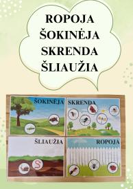 ROPOJA ŠOKINĖJA SKRENDA ŠLIAUŽIA