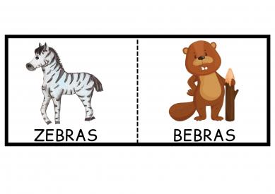Žodžių rimai