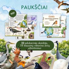 GRĮŽTANTYS PAUKŠČIAI skaidrės ir viktorina