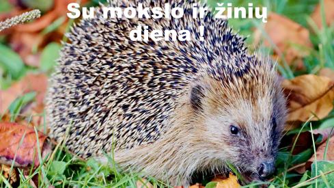 Rugsėjo 1-osios pamoka