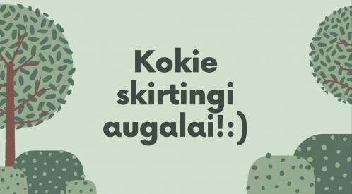 Kokie skirtingi augalai