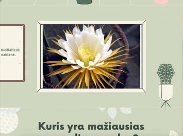 Kokie skirtingi augalai