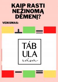 Nežinomas dėmuo, atėminys, turinys