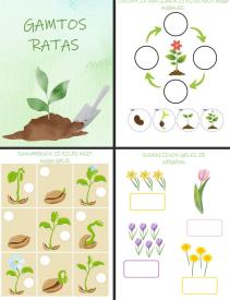 Gamtos ratas