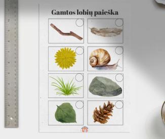 Gamtos lobių paieška žaidimas