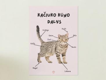 Šuniuko ir kačiuko kūnų daliu plakatai