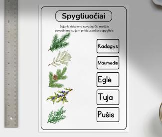 Rudenėlio užduotys - 36 psl.  