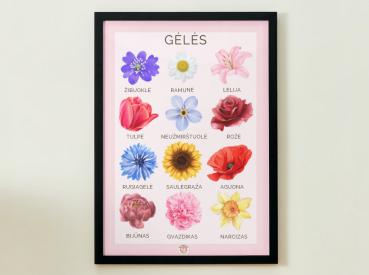 PLAKATAS - GĖLĖS