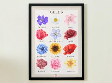 PLAKATAS - GĖLĖS