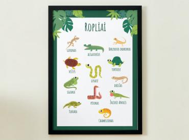 PLAKATAS - ROPLIAI