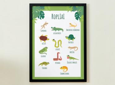PLAKATAS - ROPLIAI