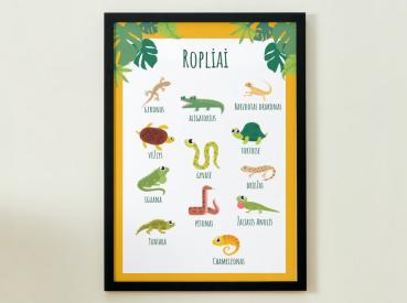 PLAKATAS - ROPLIAI
