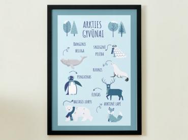 ARKTIES GYVŪNAI - PLAKATAS
