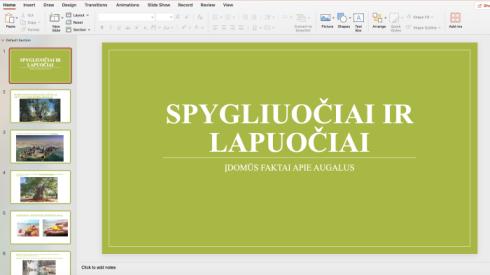 Įdomūs faktai apie medžius
