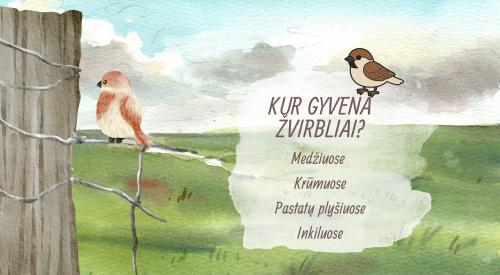 Pasaulinė Žvirblio diena Kovo 20 diena
