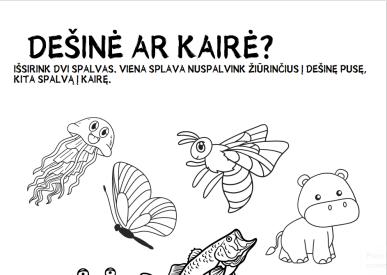 Dešinė ar kairė