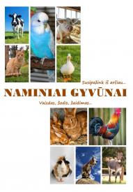 Pažinimo kortelės. NAMINIAI GYVŪNAI. Vaizdas, žodis, žaidimas.