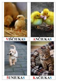 Pažinimo kortelės. NAMINIAI GYVŪNAI. Vaizdas, žodis, žaidimas.